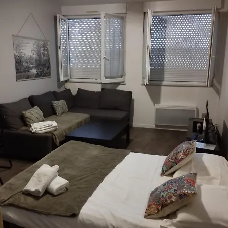 Apartamento Mon Paisible Rez De Chausse Wifi Parking Un-sejour-a-part Metz