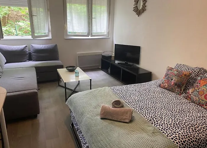 Mon Paisible Rez De Chausse Wifi Parking Un-sejour-a-part * Μετς