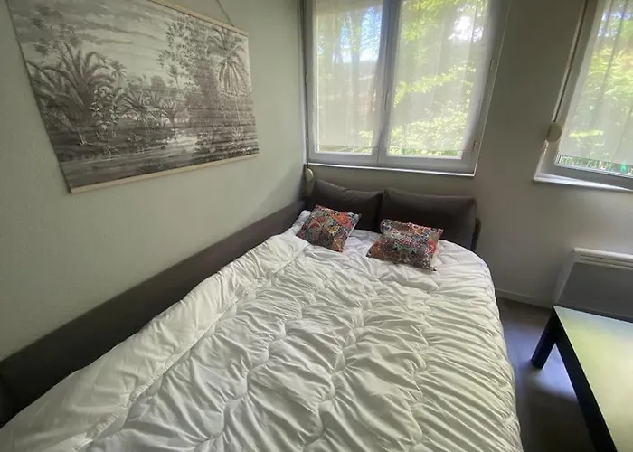 Апартаменты Mon Paisible Rez De Chausse Wifi Parking Un-sejour-a-part Мец